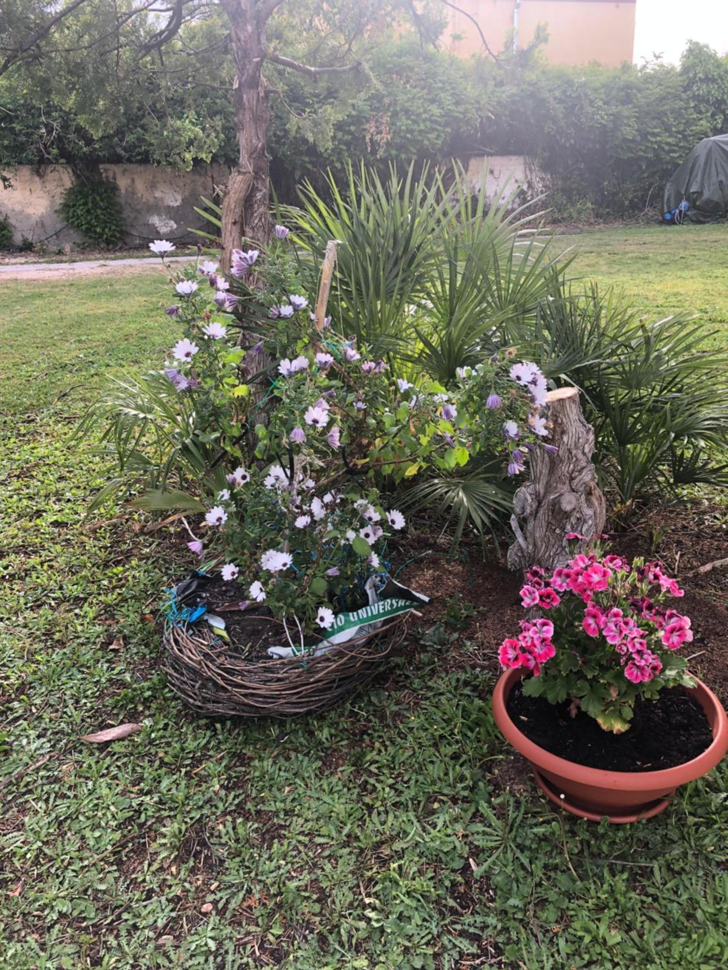 La Lantana Nuova Flumini di Quartu Exterior foto